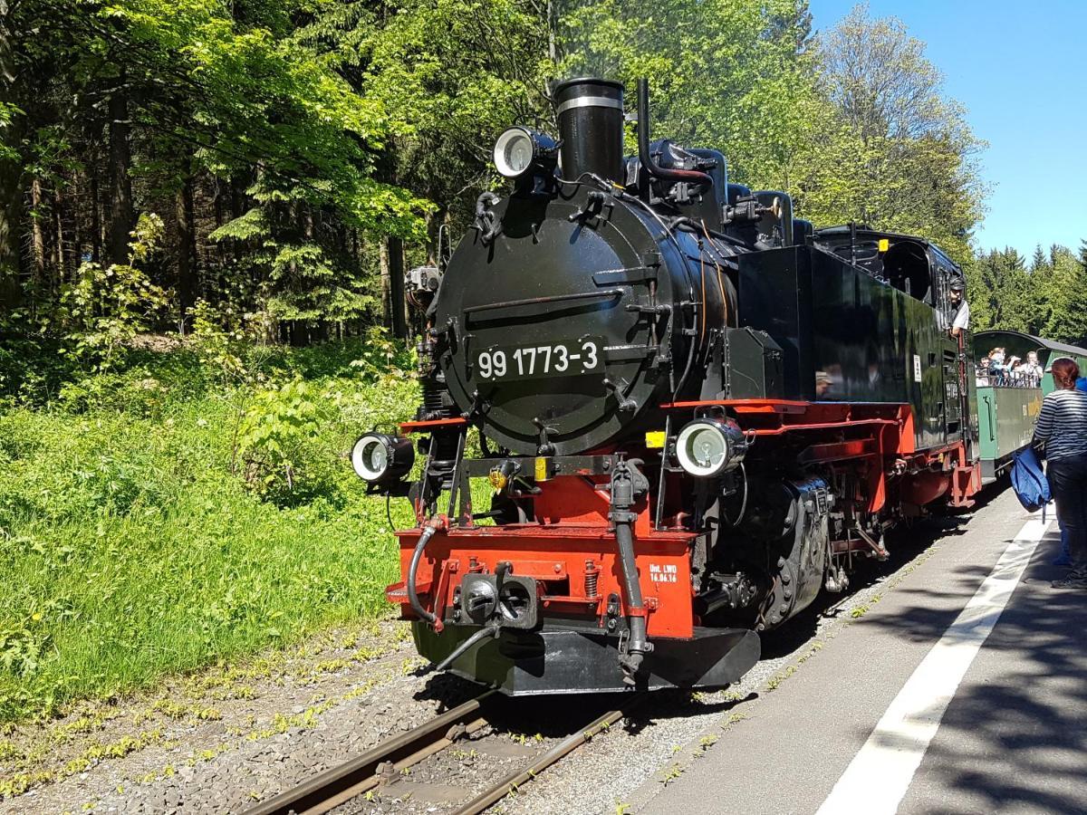 Hotel Gaestehaus Hutweide Bärenstein Zewnętrze zdjęcie